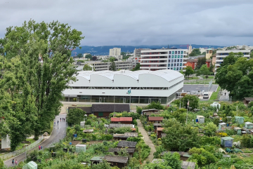 Quartierverein Albisrieden Start