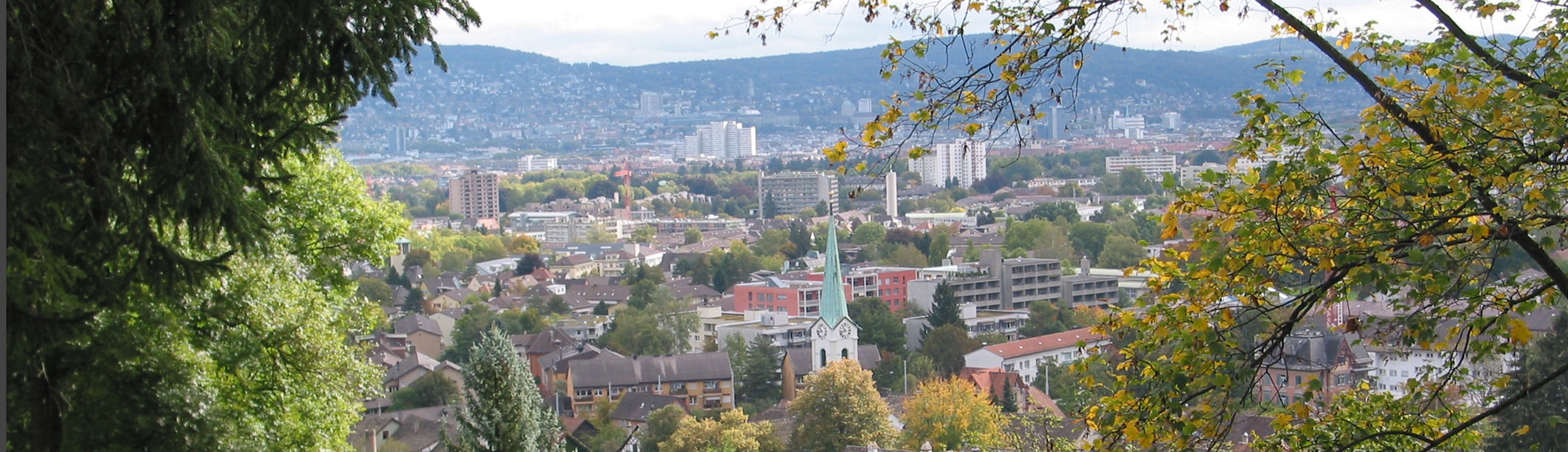 Quartierverein Albisrieden Quartier
